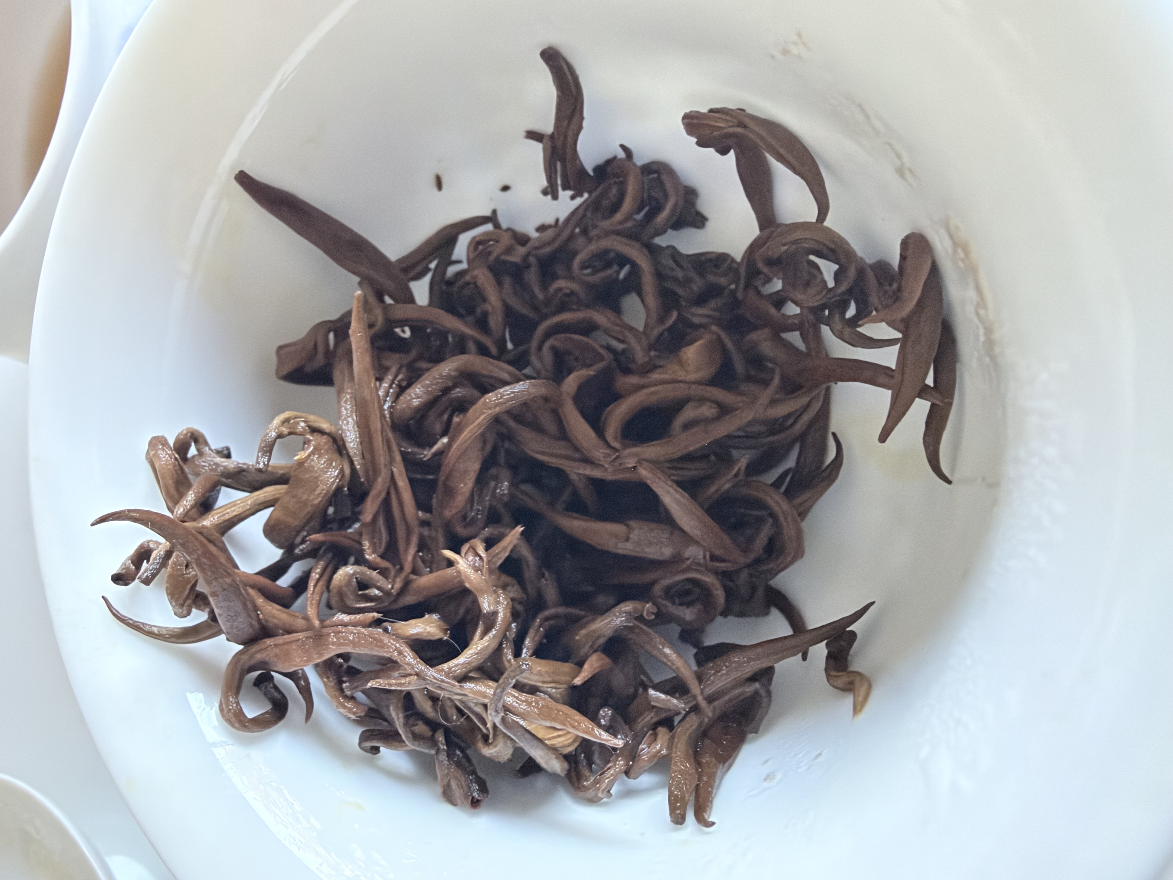 Opened Imperial Gold Bi Luo Chun black tea leaves after brewing in a white gaiwan
